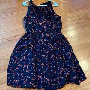 Women Petite Ann Taylor dress